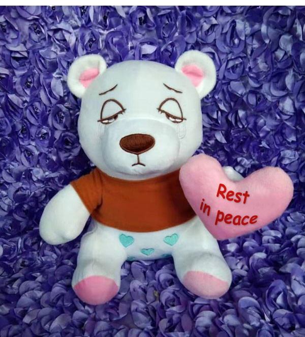 Blissful Memories- WHITE-brownT-shirt-pinksmallheart-rest-in-peace-12inch-Teddy_Bear